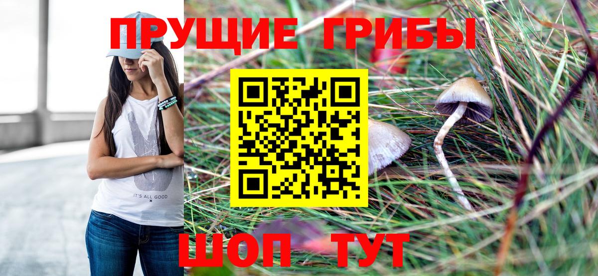 цена   Вход с VPN  Галлюциногенные грибы ЛСД  Пугачёв  Галлюциногенные грибы мицелий 